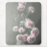 Pink Centered Carnations 1 - Ethereal Radiance Pink Centered Carnations 1 - Ethereal Radiance