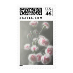 Pink Centered Carnations 1 - Ethereal Radiance Pink Centered Carnations 1 - Ethereal Radiance