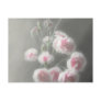 Pink Centered Carnations ...