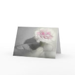 Pink Centered Carnations 2 - Contemplation Pink Centered Carnations 2 - Contemplation