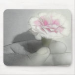 Pink Centered Carnations 2 - Contemplation Pink Centered Carnations 2 - Contemplation