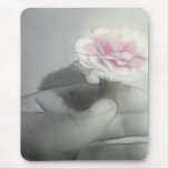 Pink Centered Carnations 2 - Contemplation Pink Centered Carnations 2 - Contemplation
