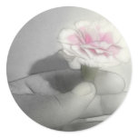 Pink Centered Carnations 2 - Contemplation Pink Centered Carnations 2 - Contemplation