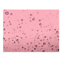 Pink Chamgagne Postcard