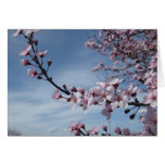 Pink Cherry Blossom Flowering Tree Card