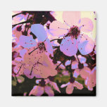 Pink Cherry Blossom Refrigerator Magnet