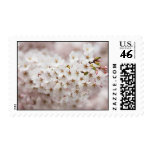Pink Cherry Blossom Stamps