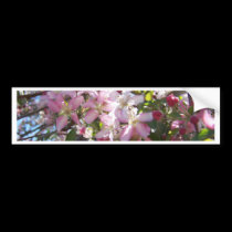 Pink Cherry Blossoms bumper stickers