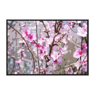 Pink Cherry Blossoms Stretched Canvas Prints