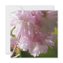Pink Cherry Blossoms Invitations