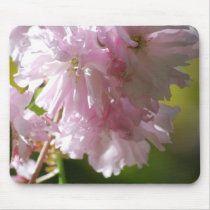 Pink Cherry Blossoms Mouse Pad