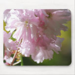 Pink Cherry Blossoms Mouse Pad