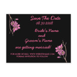 Pink Cherry Blossoms postcards