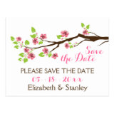 Pink cherry blossoms spring wedding Save the Date Post Card