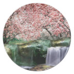 Pink Cherry Sakura Japanese Blossom Tree Plate