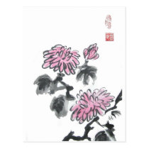 Pink Chrysanthemum Flowers postcards
