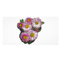 Pink Chrysanthemum Gifts photo cards