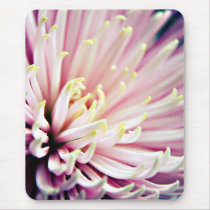 Pink Chrysanthemum mousemat mousepads