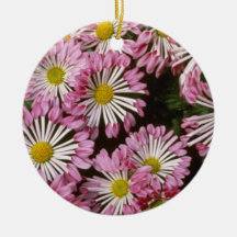 Pink Chrysanthemum 'Type Spatule' (Florist Chrysan Christmas Tree Ornaments