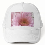 Pink Chrysanthemums 1 Pink Chrysanthemums 1