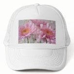Pink Chrysanthemums 2 Pink Chrysanthemums 2
