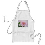 Pink Chrysanthemums 4 Pink Chrysanthemums 4