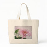 Pink Chrysanthemums 4 Pink Chrysanthemums 4