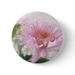 Pink Chrysanthemums 4 Pink Chrysanthemums 4