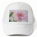 Pink Chrysanthemums 4 Pink Chrysanthemums 4