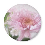 Pink Chrysanthemums 4 Pink Chrysanthemums 4