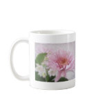 Pink Chrysanthemums 4 Pink Chrysanthemums 4