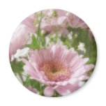 Pink Chrysanthemums 5 Elegance Pink Chrysanthemums 5 Elegance