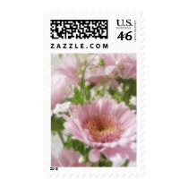Pink Chrysanthemums 5 Elegance stamps