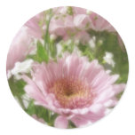 Pink Chrysanthemums 5 Elegance Pink Chrysanthemums 5 Elegance
