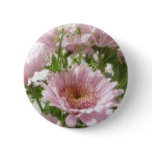 Pink Chrysanthemums 5 Simple Pink Chrysanthemums 5 Simple
