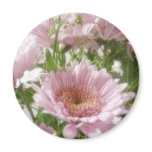 Pink Chrysanthemums 5 Simple Pink Chrysanthemums 5 Simple