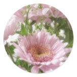Pink Chrysanthemums 5 Simple Pink Chrysanthemums 5 Simple