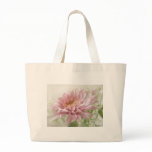 Pink Chrysanthemums 6 Glimmer Pink Chrysanthemums 6 Glimmer