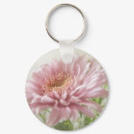 Pink Chrysanthemums 6 Glimmer Pink Chrysanthemums 6 Glimmer