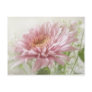 Pink Chrysanthemums 6 Glimmer