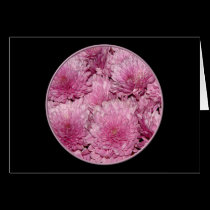 Pink Chrysanthemums cards