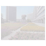 Pink City Hall, Landshut, Bayern, Germany flowers Letterhead