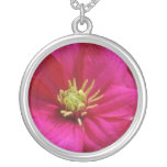 Pink Clematis flowers Pendants