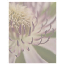 Pink Clematis • Letterhead by SabineSt Pink Clematis • Letterhead