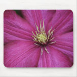 Pink Clematis Mouse Pads