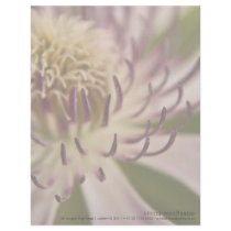 Pink Clematis • Personalized Letterhead by SabineSt Pink Clematis • Personalized Letterhead