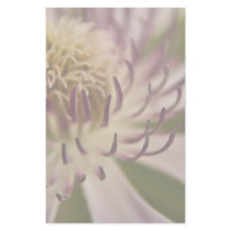 Pink Clematis • Stationery by SabineSt Pink Clematis • Stationery