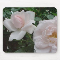 Pink Climbing Rose mousepads by disgustedcats Pink Climbing Rose mousepads