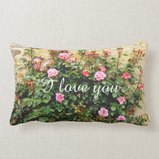 Pink climbing roses lovely pillow