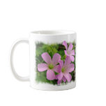 clover, flower, bloom, pink, floral, botanical,